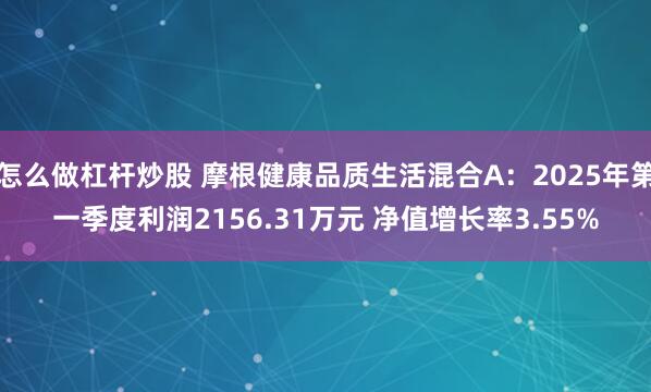 怎么做杠杆炒股 摩根健康品质生活混合A：2025年第一季度利润2156.31万元 净值增长率3.55%