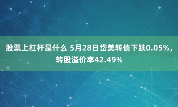 股票上杠杆是什么 5月28日岱美转债下跌0.05%，转股溢价率42.49%