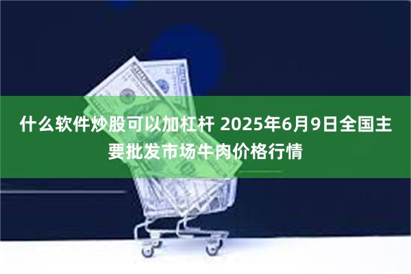 什么软件炒股可以加杠杆 2025年6月9日全国主要批发市场牛肉价格行情
