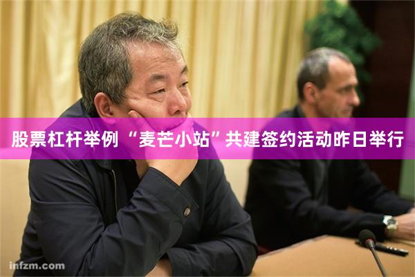 股票杠杆举例 “麦芒小站”共建签约活动昨日举行
