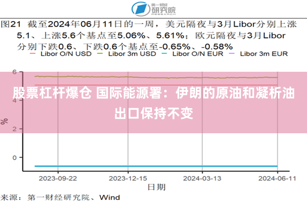 股票杠杆爆仓 国际能源署：伊朗的原油和凝析油出口保持不变